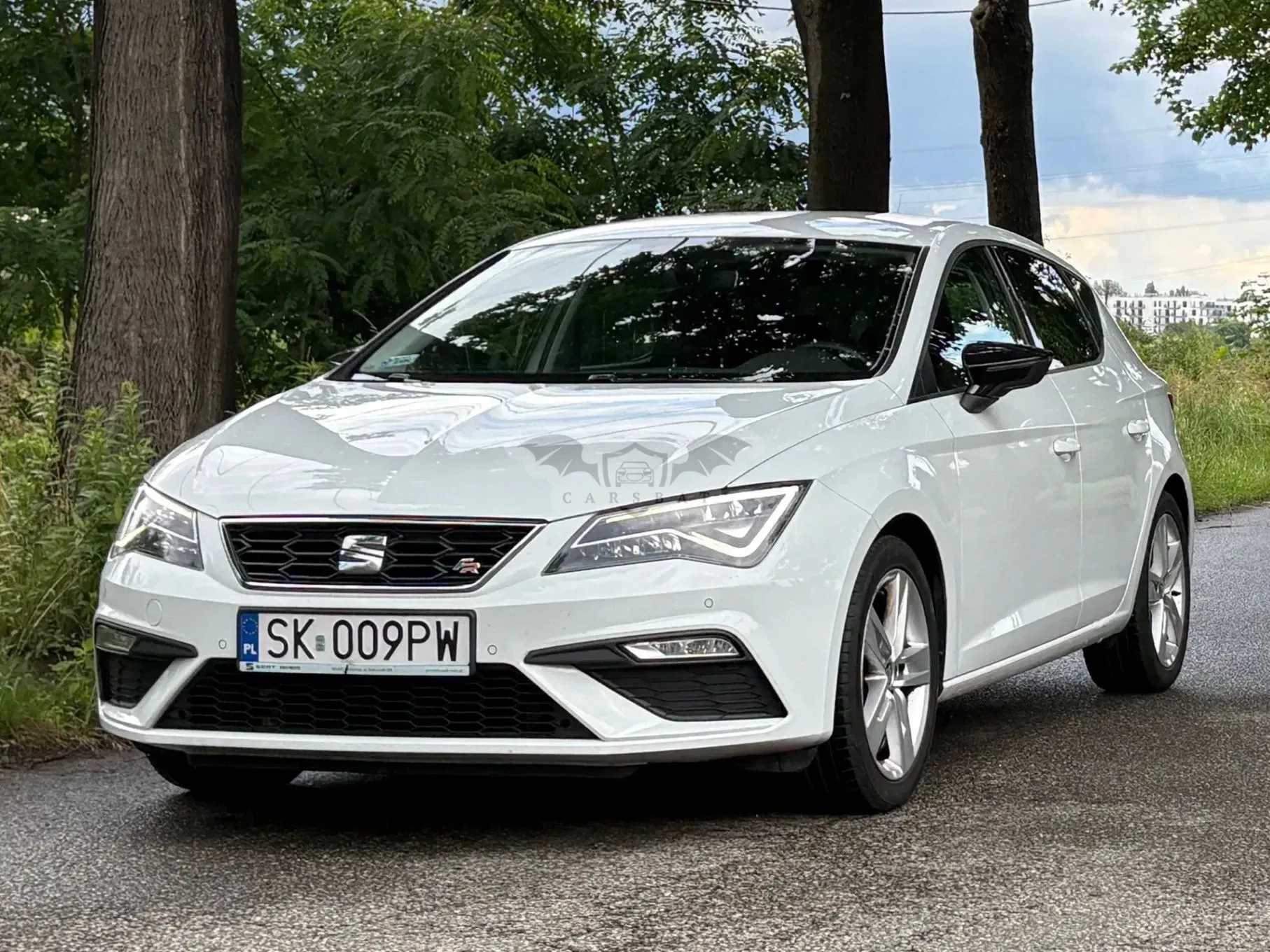 Seat Leon III (2012-) 1.5 EcoTSI Evo FR Black S&S DSG 2019