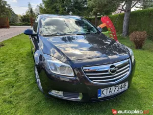 Opel Insignia A (2008-2017) 2013