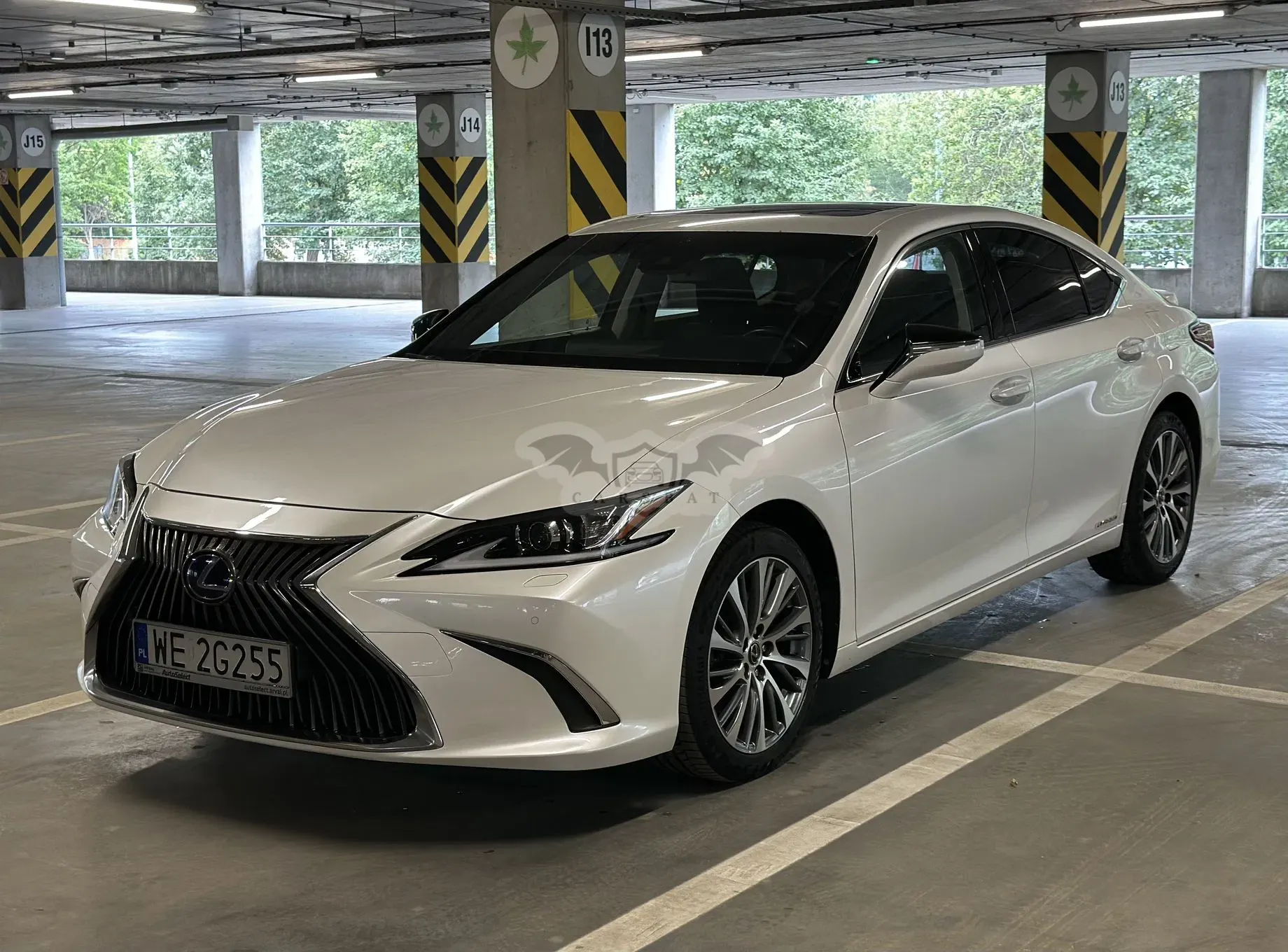 Lexus ES 300h Business Edition + 2020