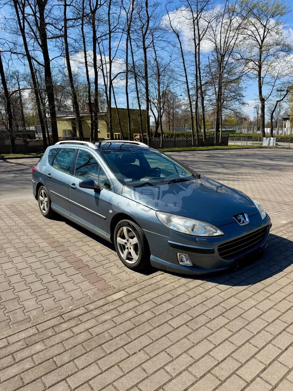 Peugeot 407 2.0 HDI Platinum 2006