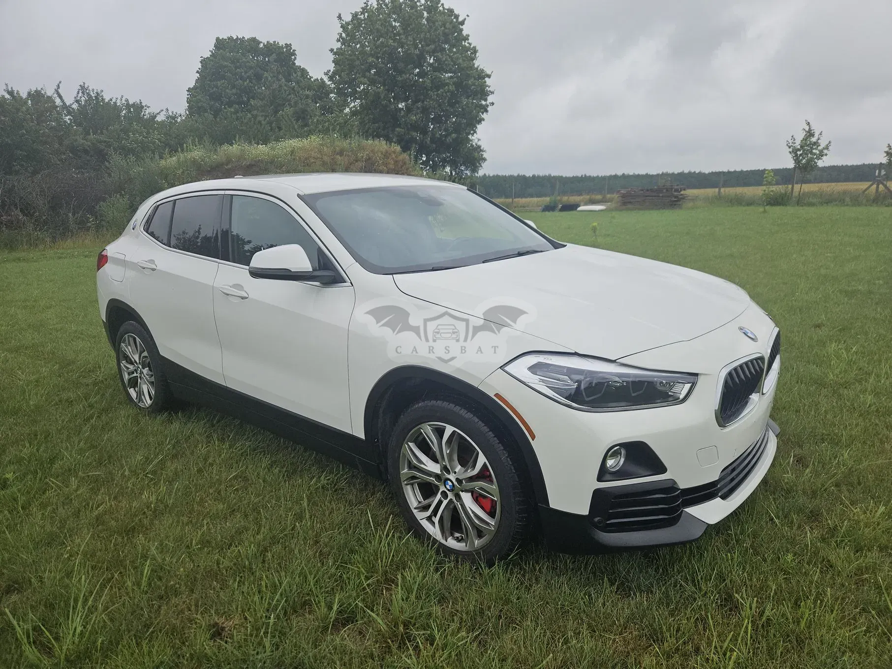 BMW X2 F39 (2017-2023) 2019