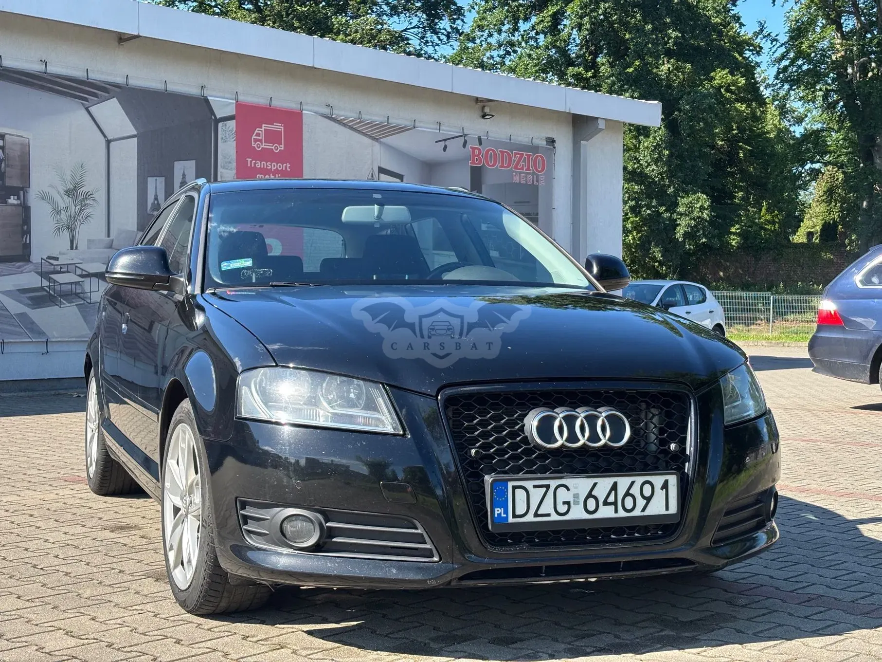 Audi A3 8P (2003-2012) 2010