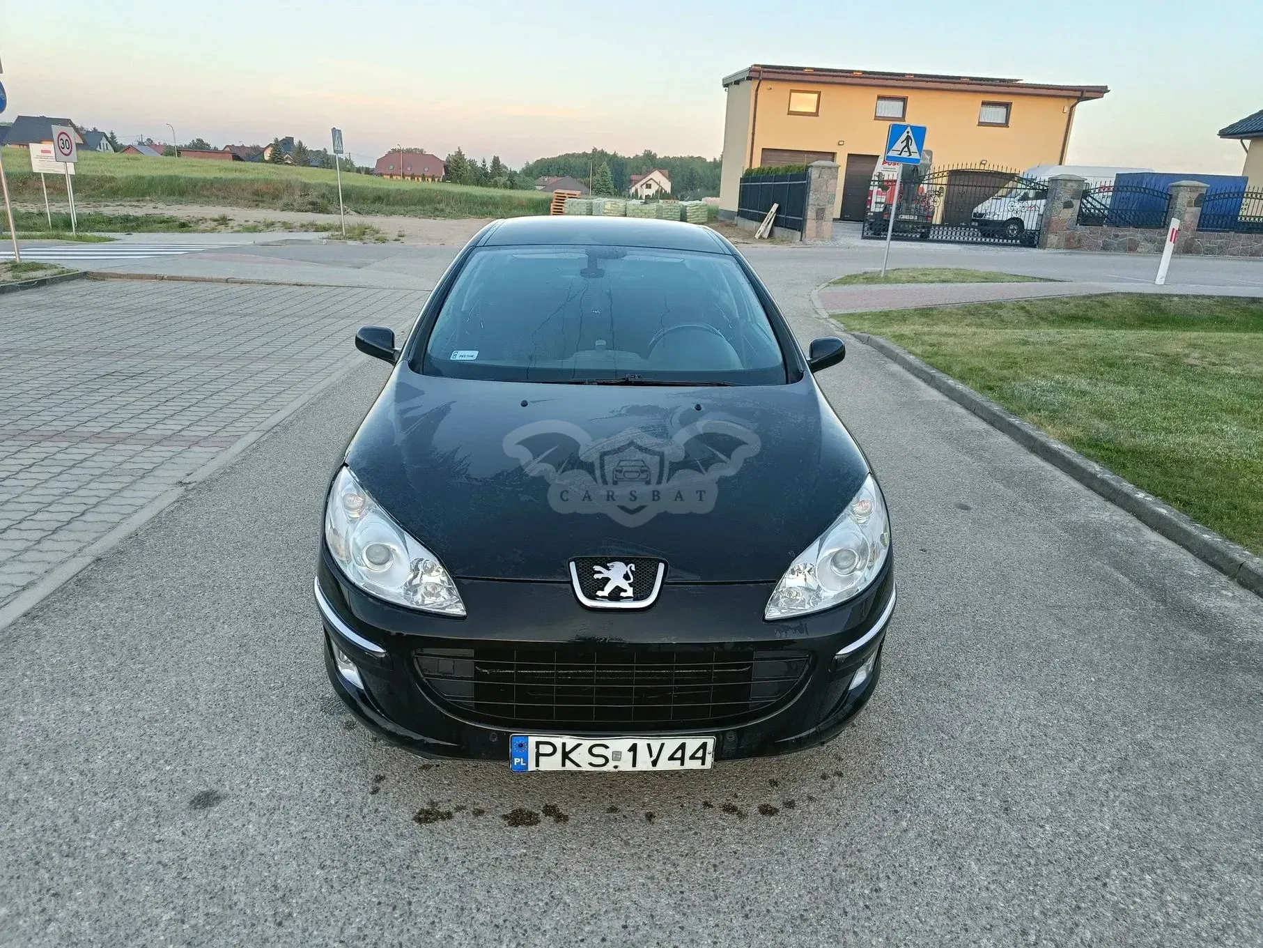 Peugeot 407 2008
