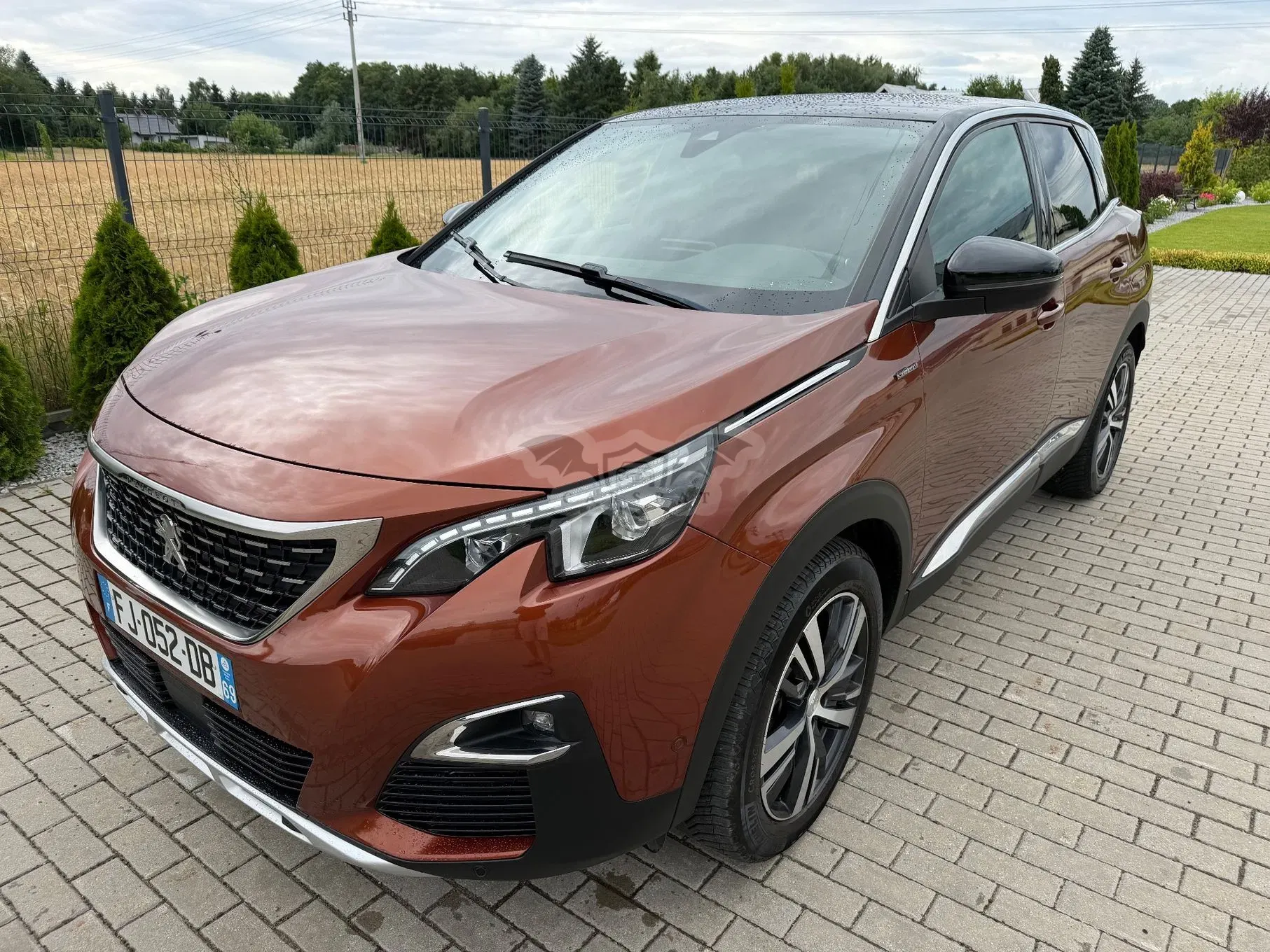 Peugeot 3008 II (2016-2024) 1.5 BlueHDi GT Pack S&S EAT8 2019