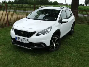 Peugeot 2008 I (2013-2019) 2017