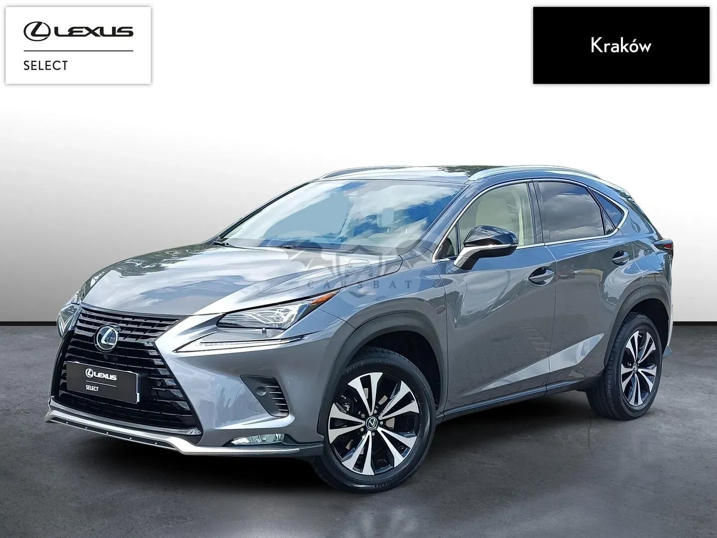 Lexus NX I (2014-2021) 300 F Impression AWD 2021