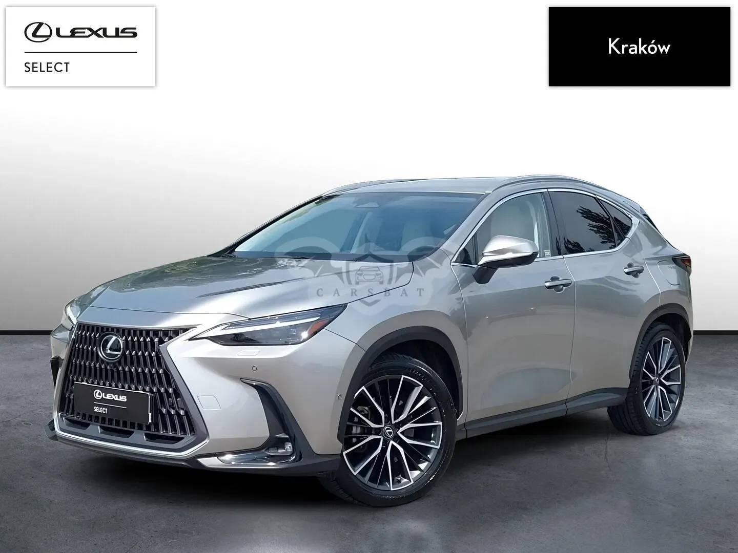 Lexus NX II (2021-) 2025