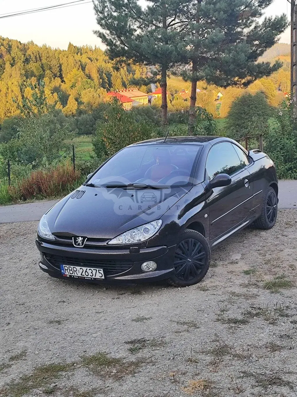 Peugeot 206 2001