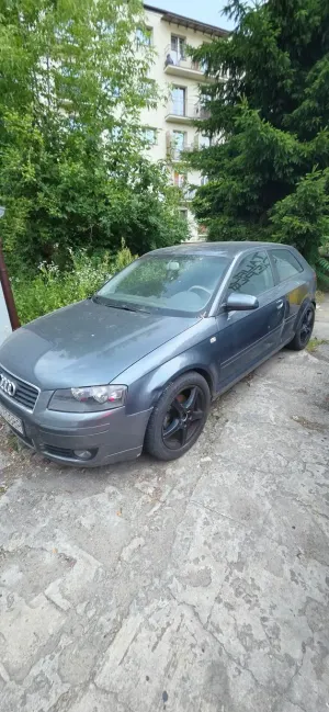 Audi A3 8P (2003-2012) 1.9 TDI Ambiente 2003