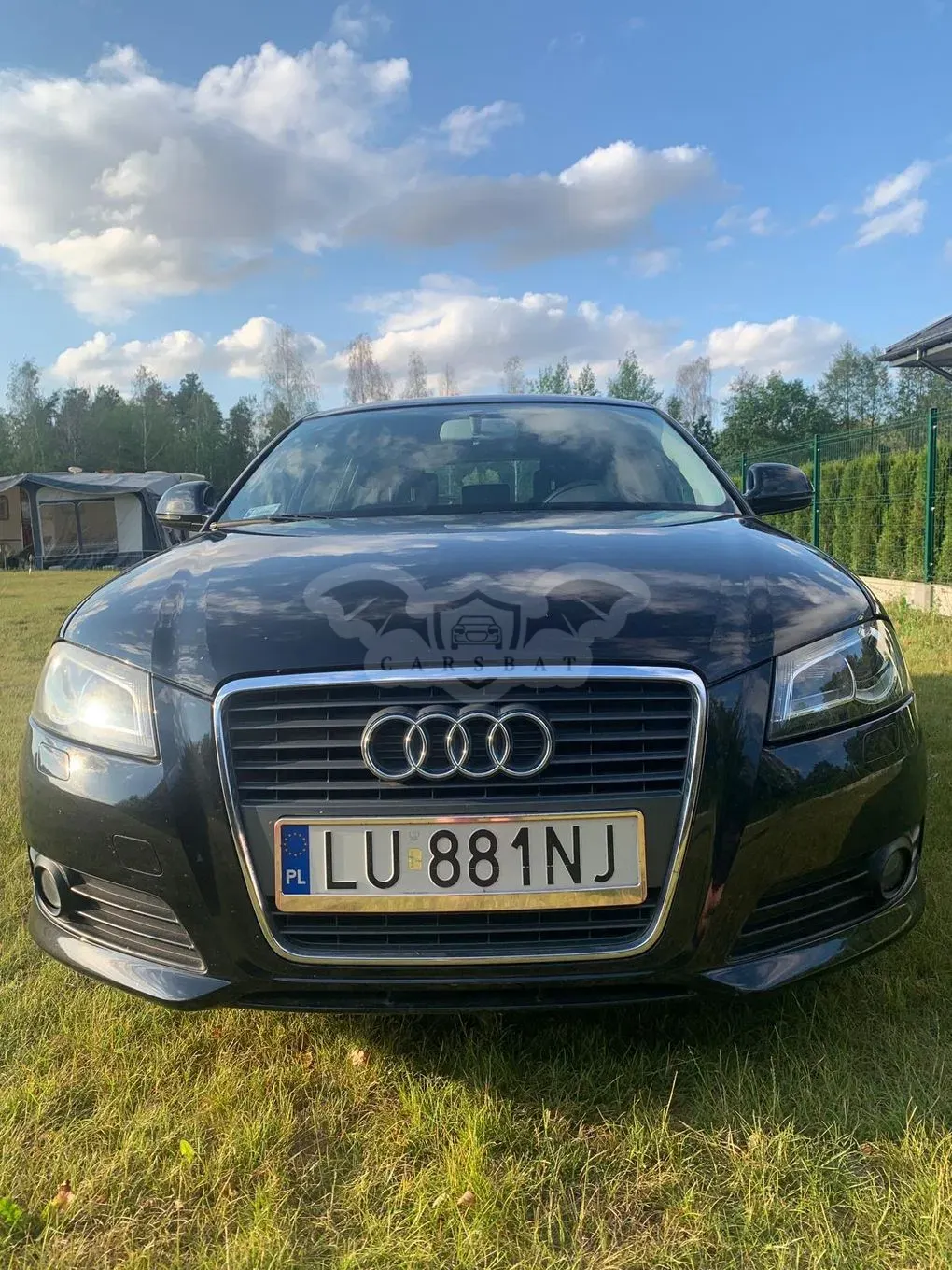 Audi A3 8P (2003-2012) 2009