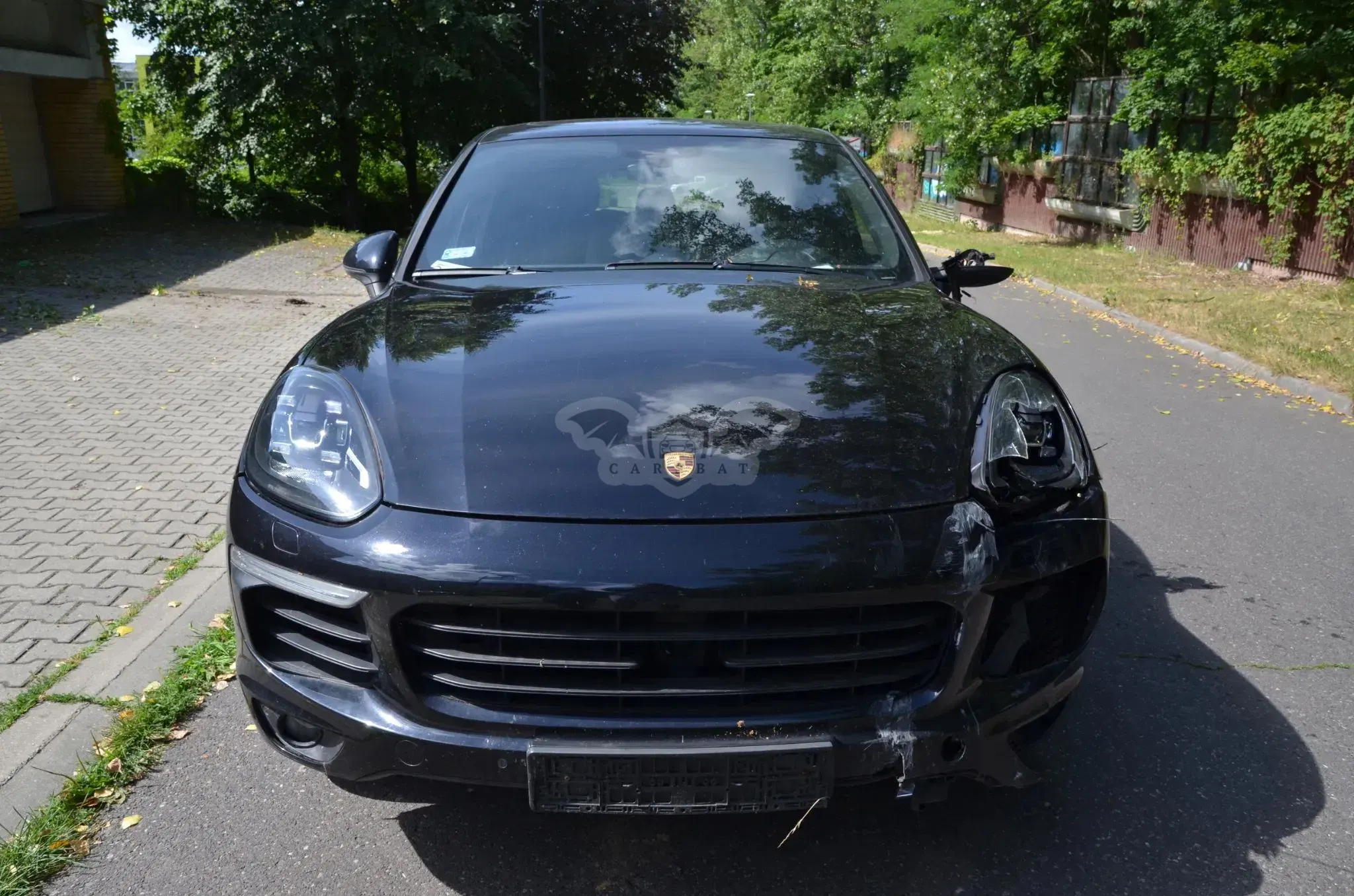 Porsche Cayenne II (2010-2017) Platinum Edition 2017