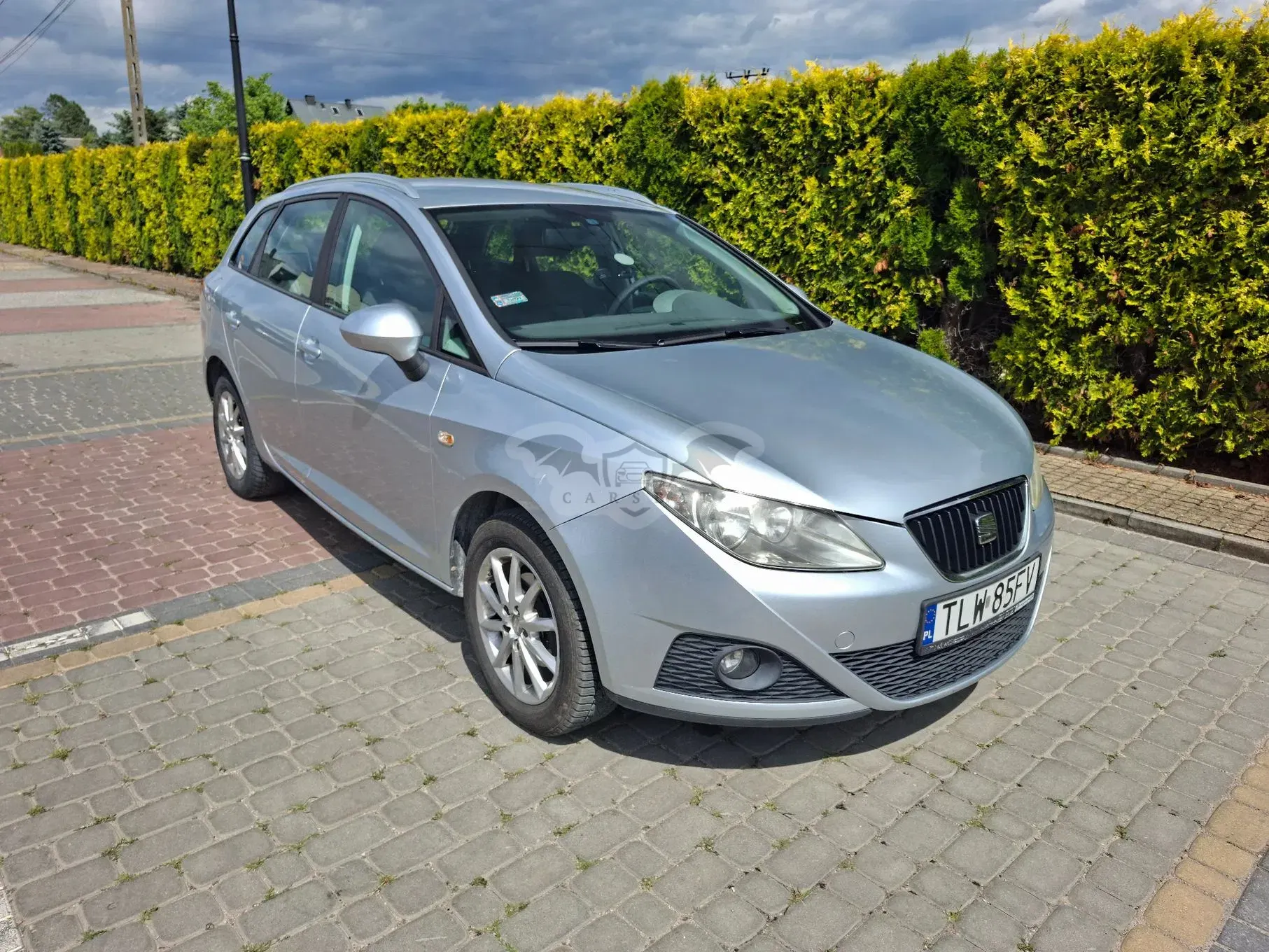 Seat Ibiza IV (2008-2017) 2010