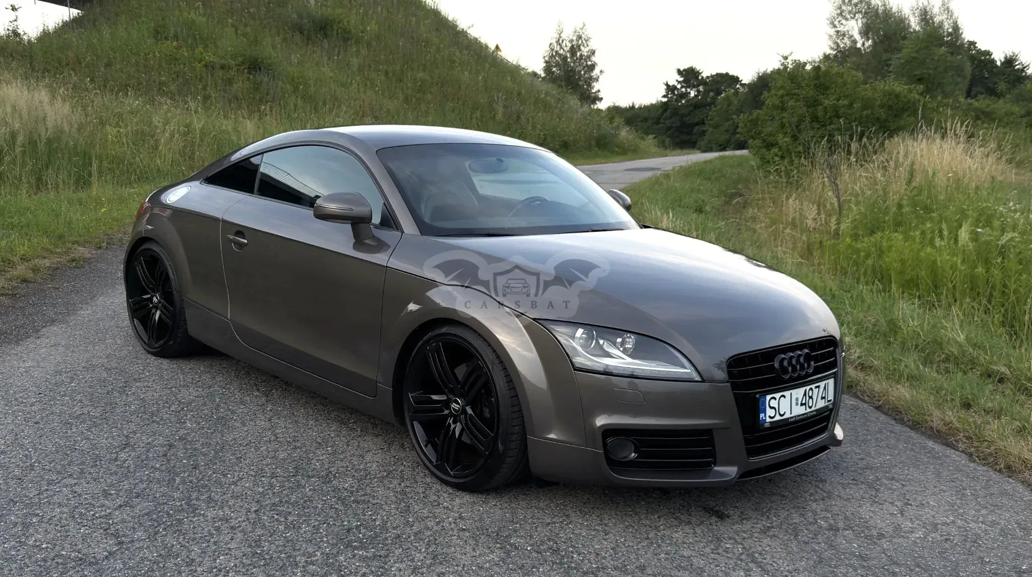 Audi TT 8J (2006-2013) 1.8 TFSI 2010