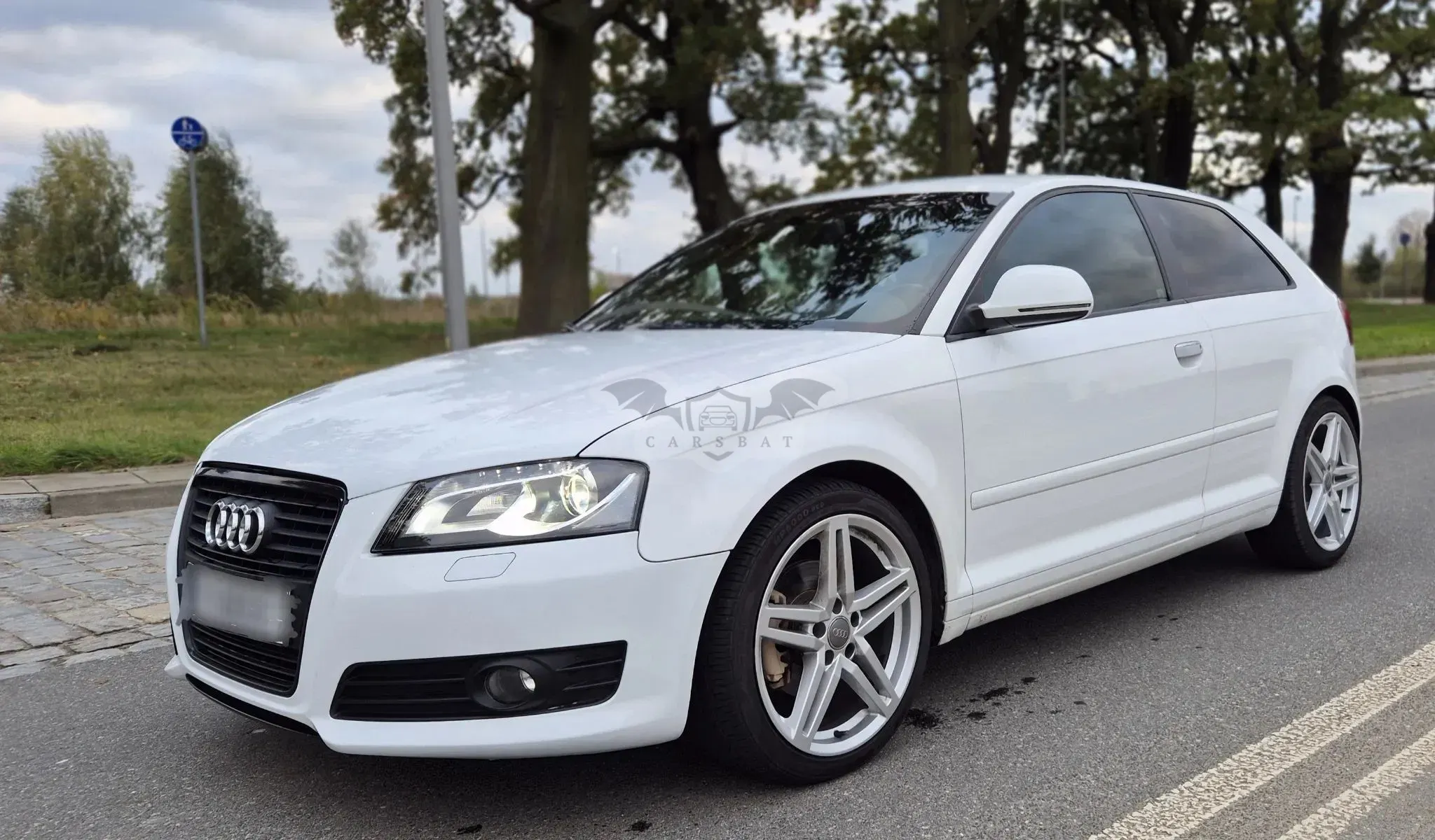 Audi A3 8P (2003-2012) 2011