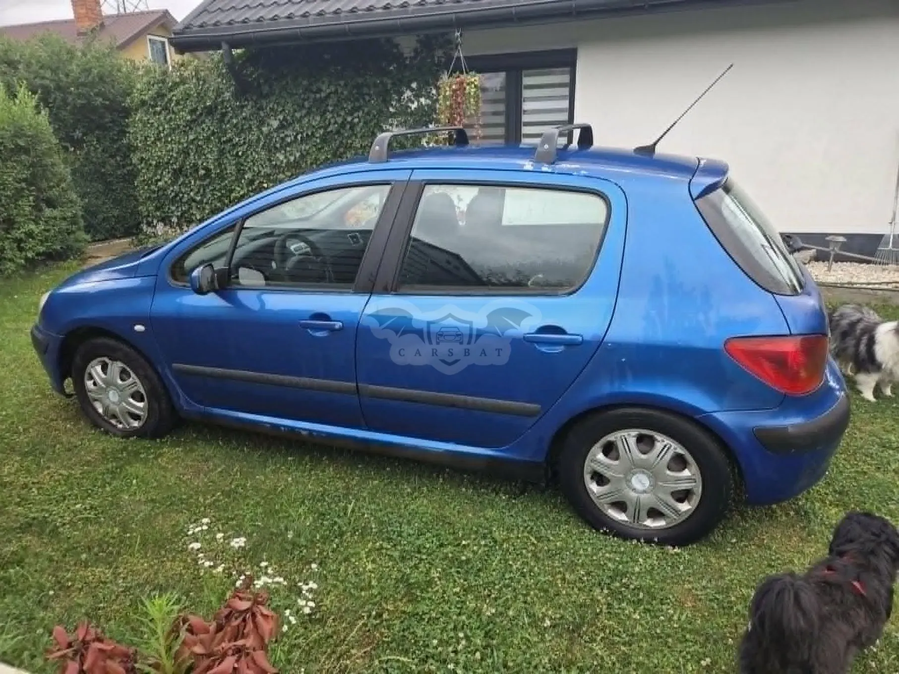 Peugeot 307 I (2001-2005) 1.6 XS Class 2003