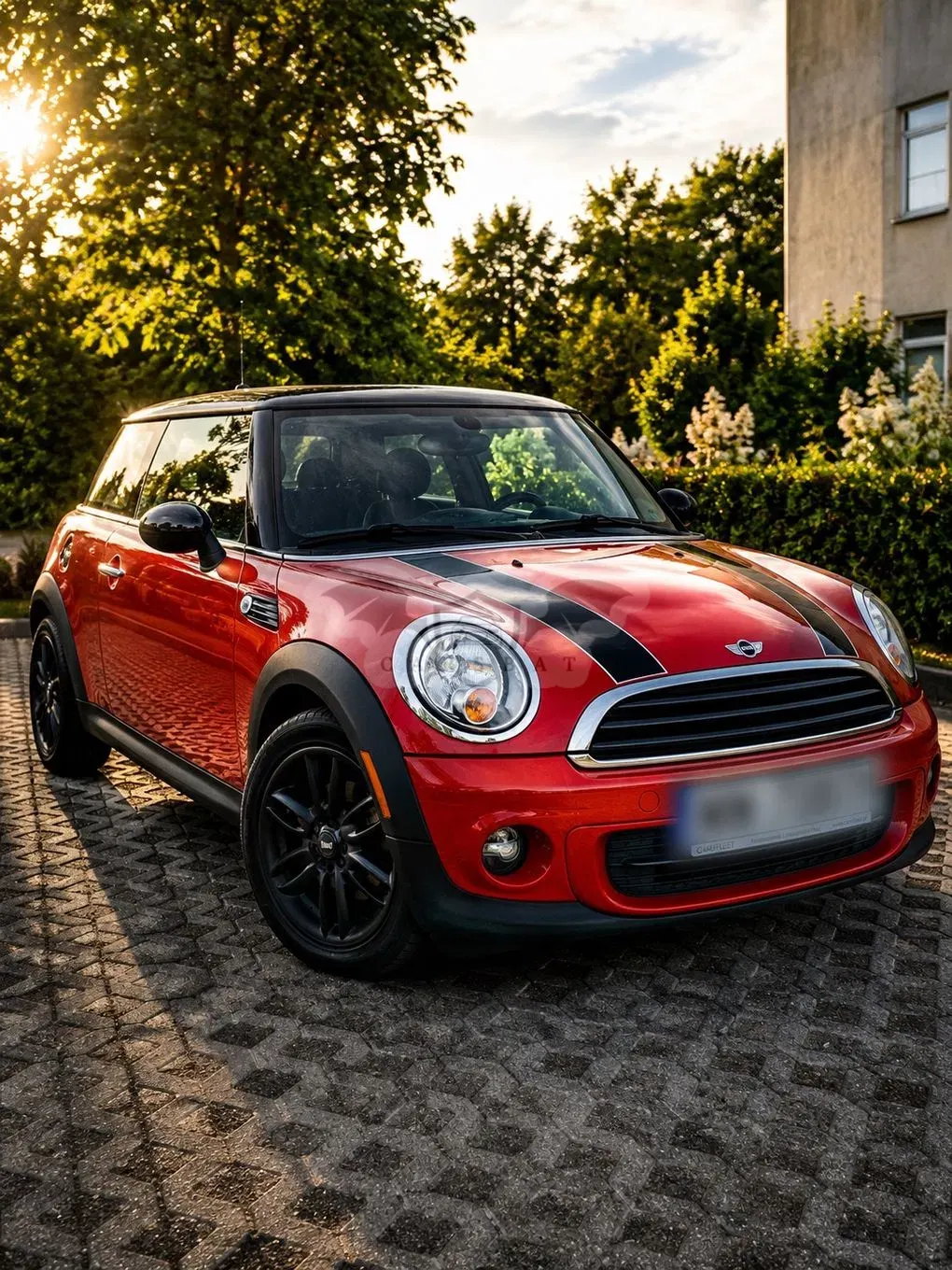 Mini Cooper Standard 2010