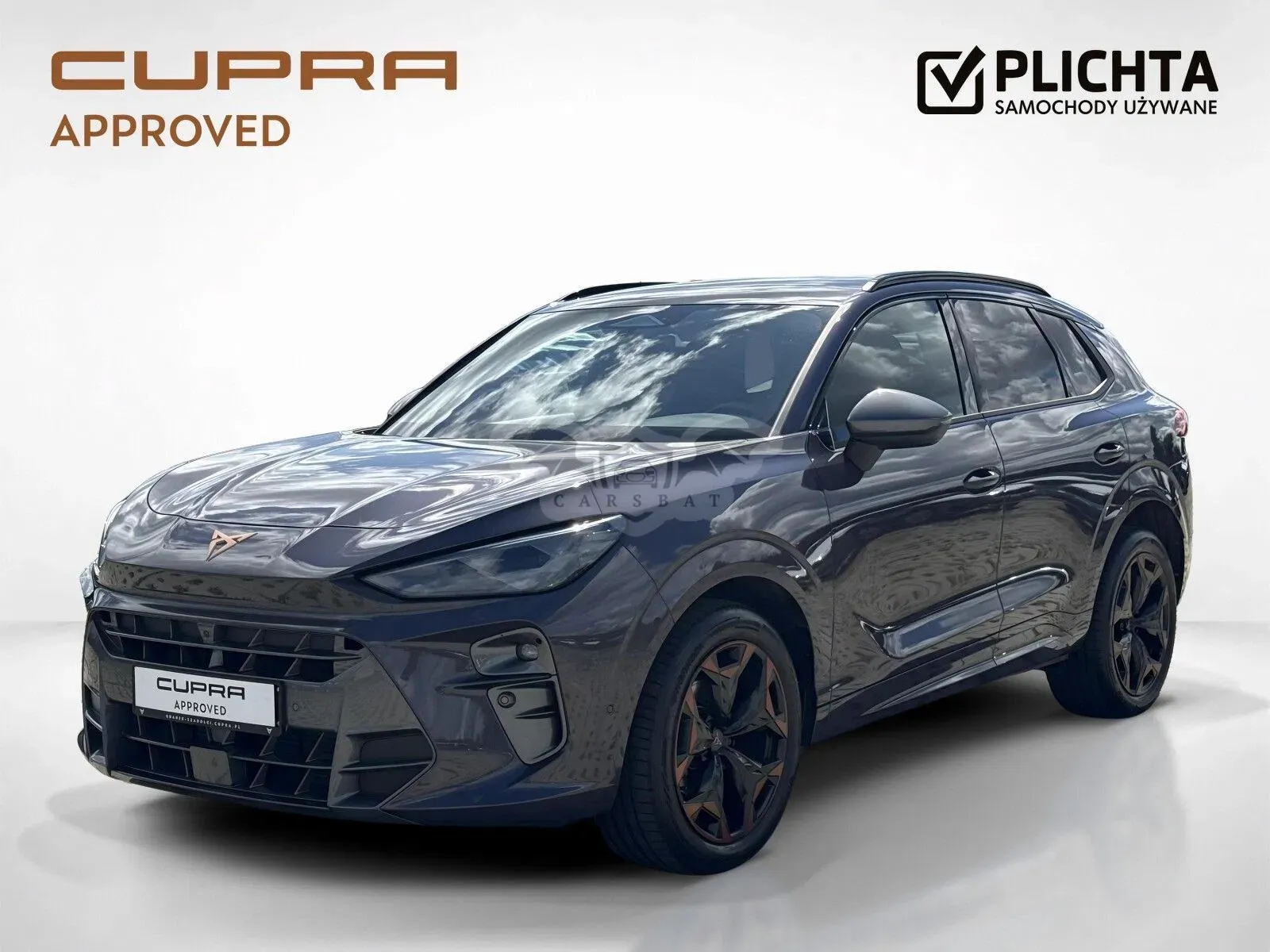 Cupra Terramar 2024