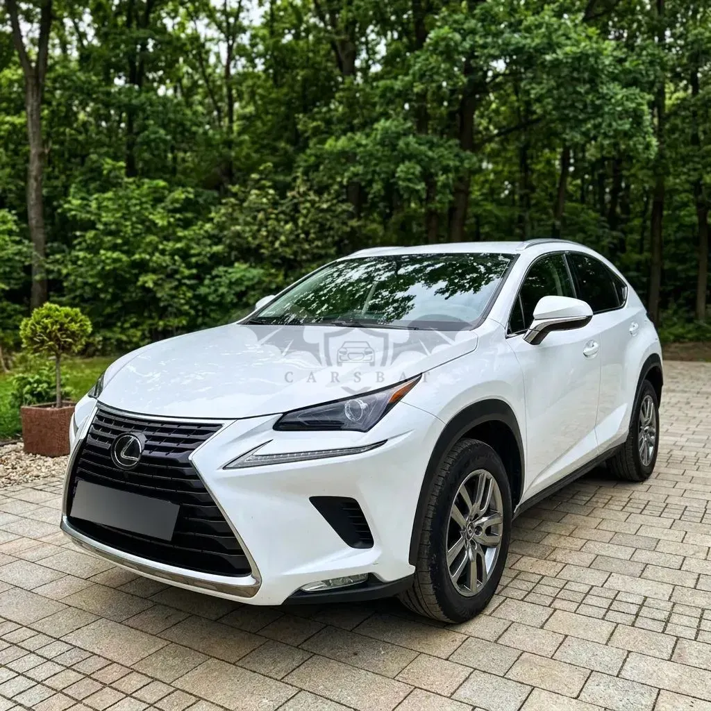 Lexus NX I (2014-2021) 300 Elegance AWD 2019