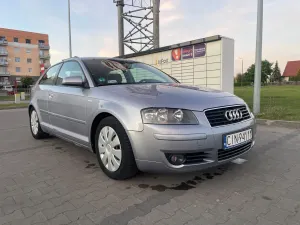 Audi A3 8P (2003-2012) 1.9 TDI Ambiente 2004