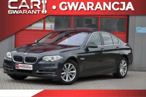 BMW 5 Series F10/F11 (2009-2017) 520d Blue Performance 2013
