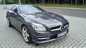 Mercedes-Benz SLK R172 (2011-) 200 (BlueEFFICIENCY) 7G-TRONIC 2014