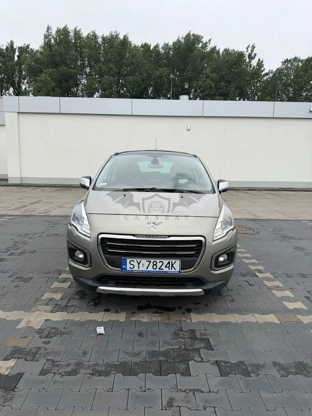 Peugeot 3008 I (2009-2016) e-HDi 115 ETG6 Stop&Start Allure 2013