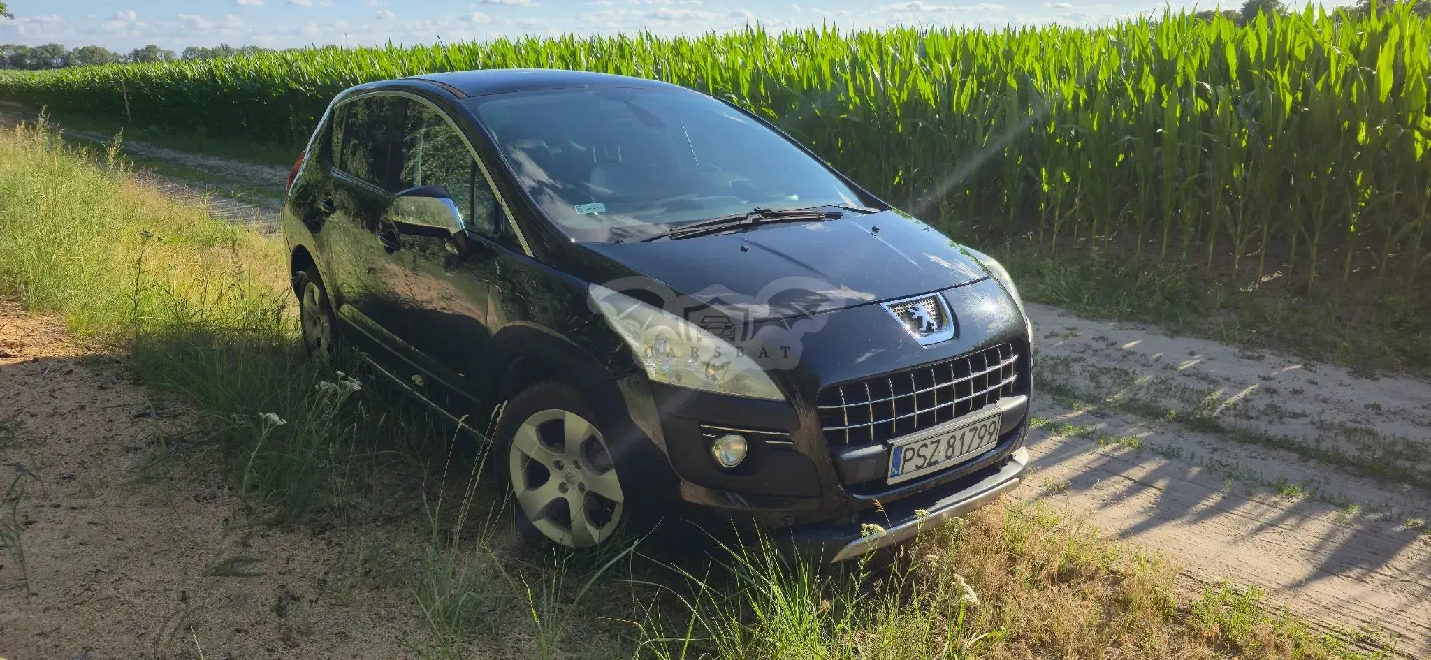 Peugeot 3008 I (2009-2016) 2012