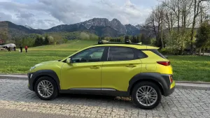 Hyundai Kona I (2017-2023) 1.6 T-GDI Premium 4WD DCT 2019