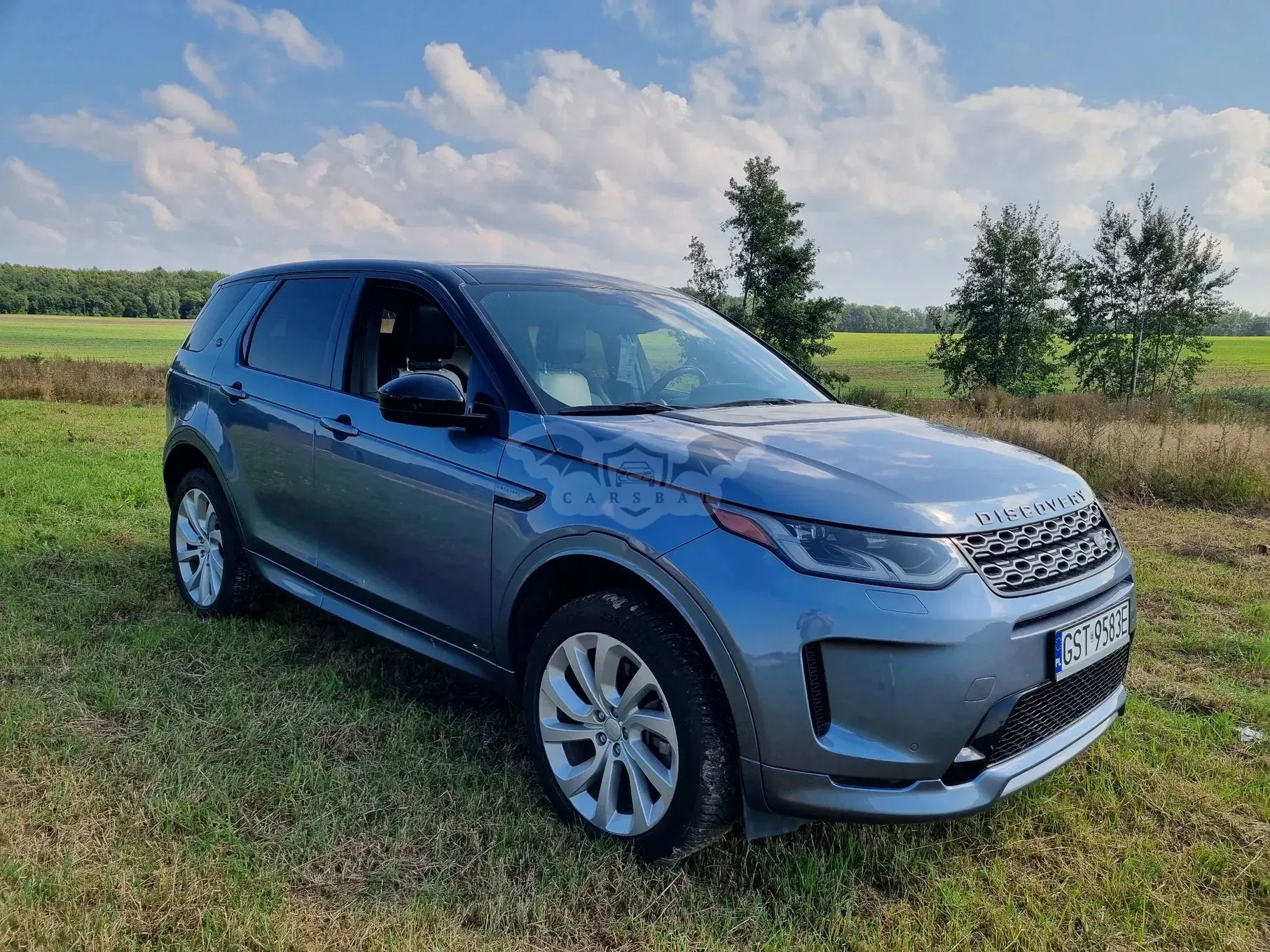 Land Rover Discovery Sport 2.0 P250 mHEV R-Dynamic S 2019