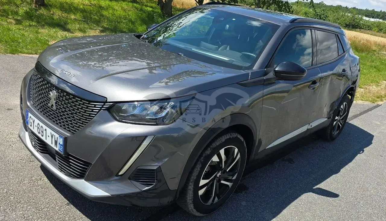 Peugeot 2008 II (2019-) 2023