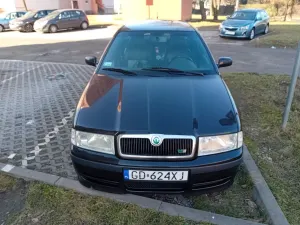Skoda Octavia I (1996-2011) 1.8T RS 2004