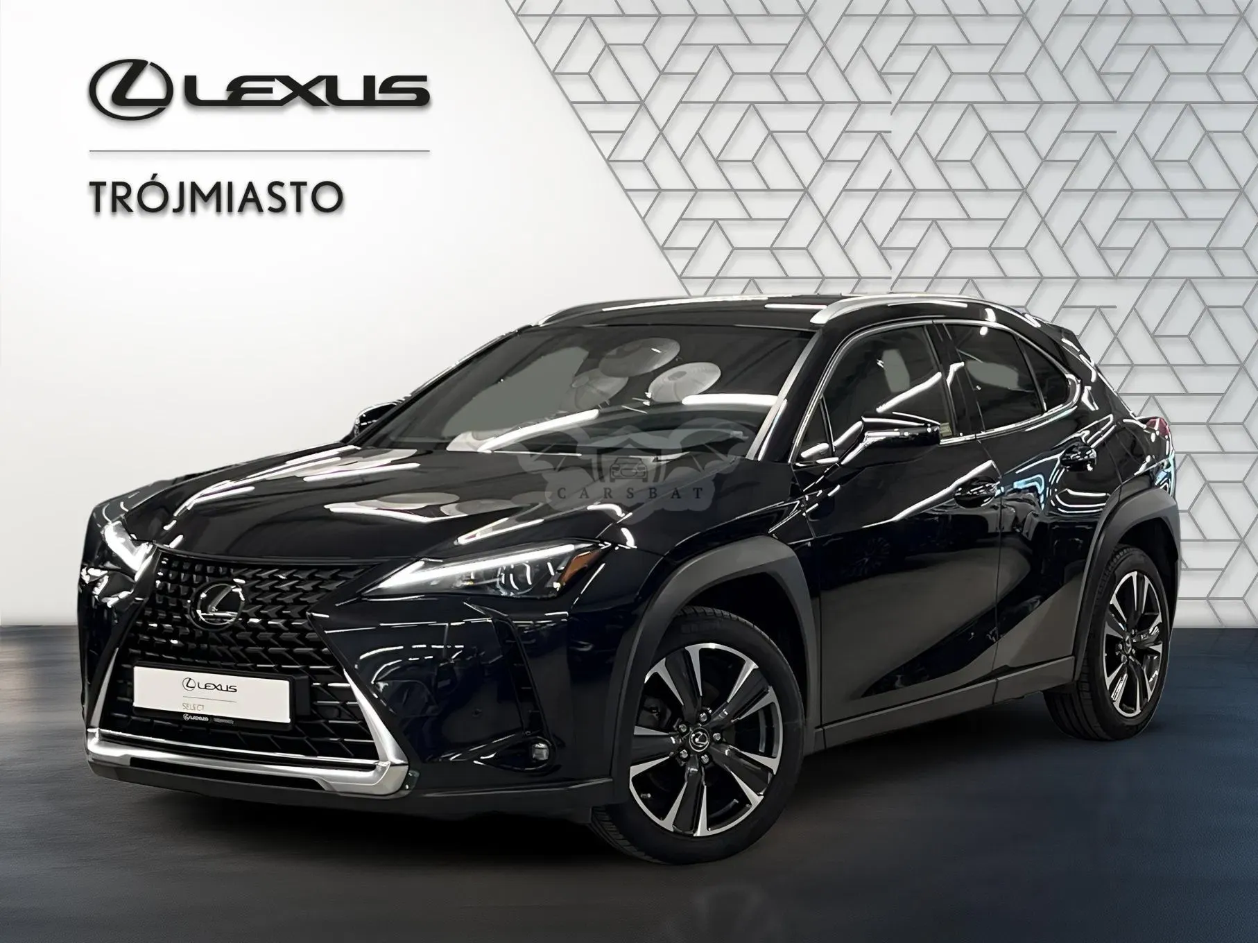 Lexus UX 250h GPF Business 2WD 2023