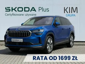 Skoda Kodiaq II (2024-) 2.0 TDI 4x4 Selection DSG 2024