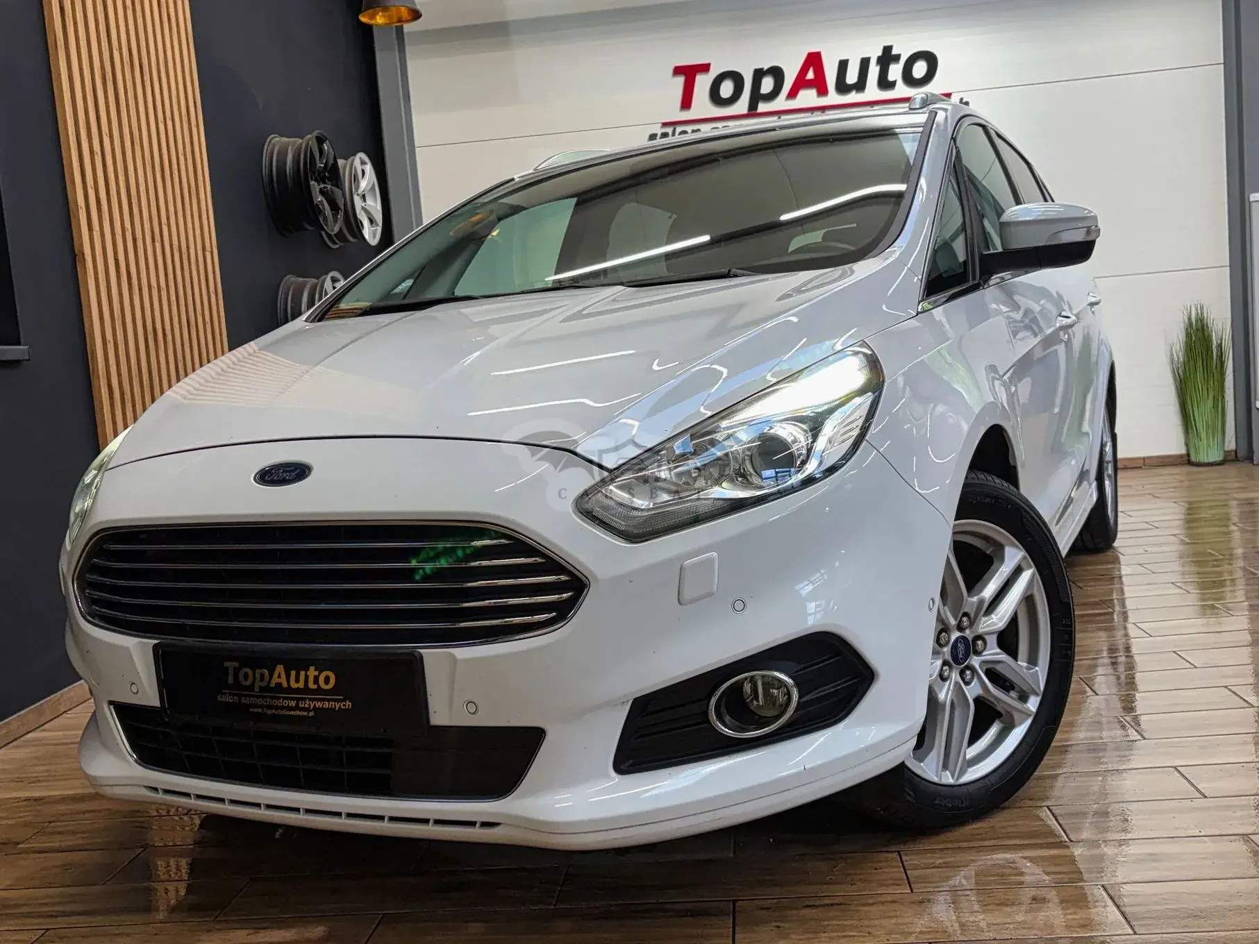 Ford S-Max II (2015-) 2.0 EcoBoost Titanium 2018