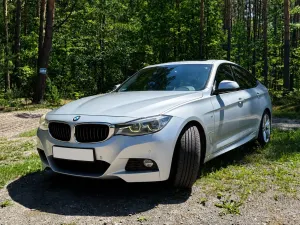 BMW 3 Series F34 (2013-2021) 318d 2016