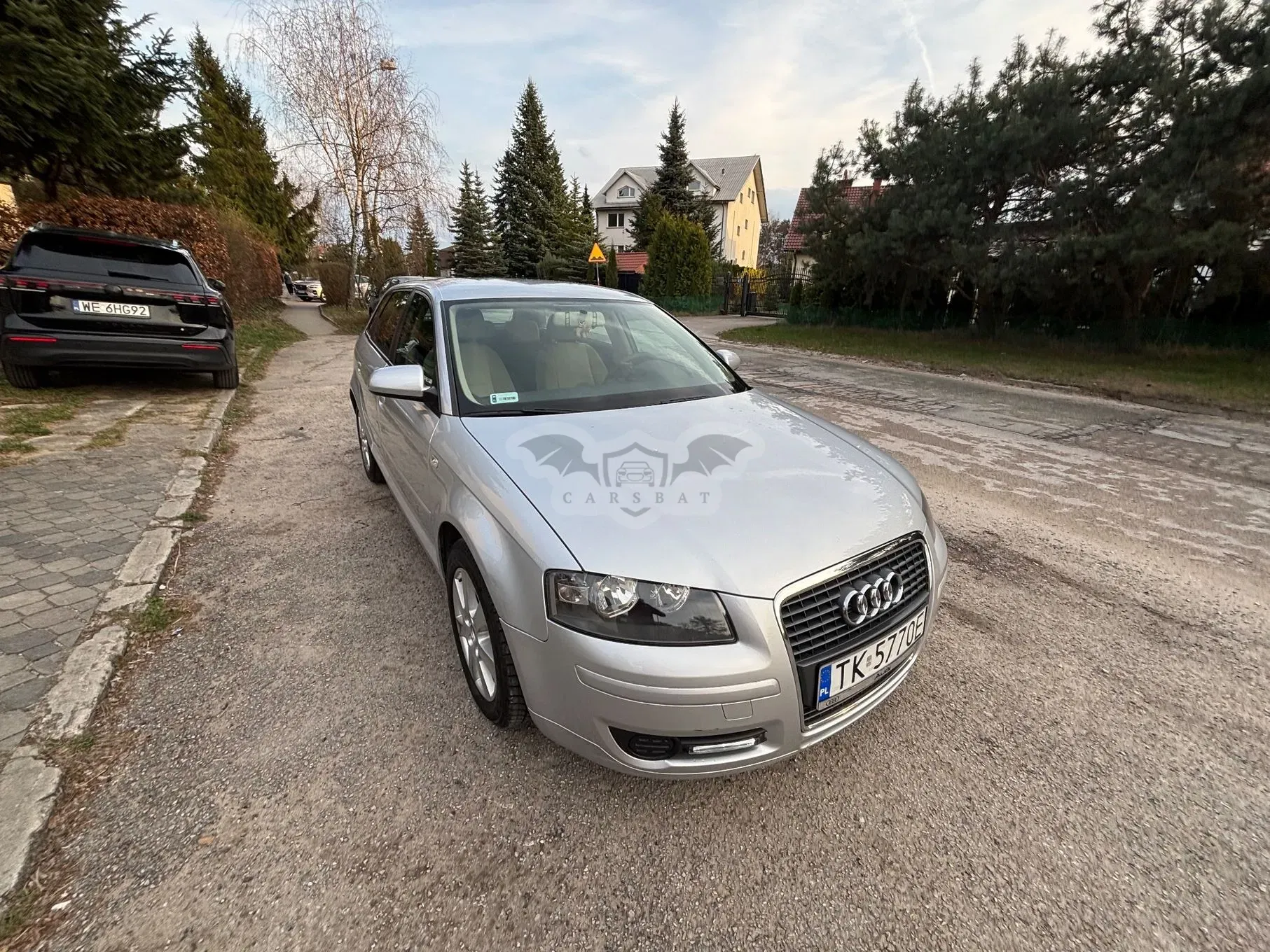 Audi A3 8P (2003-2012) 1.9 TDI Ambition 2007