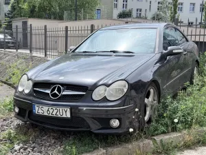 Mercedes-Benz CLK W209 (2002-) 320 2004