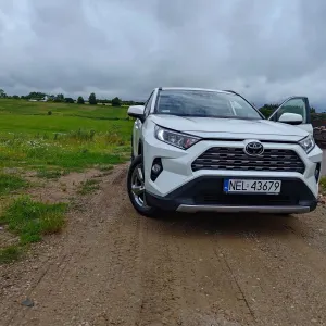 Toyota Rav4 V (2018-) 2.0 Comfort 4x2 MS 2019