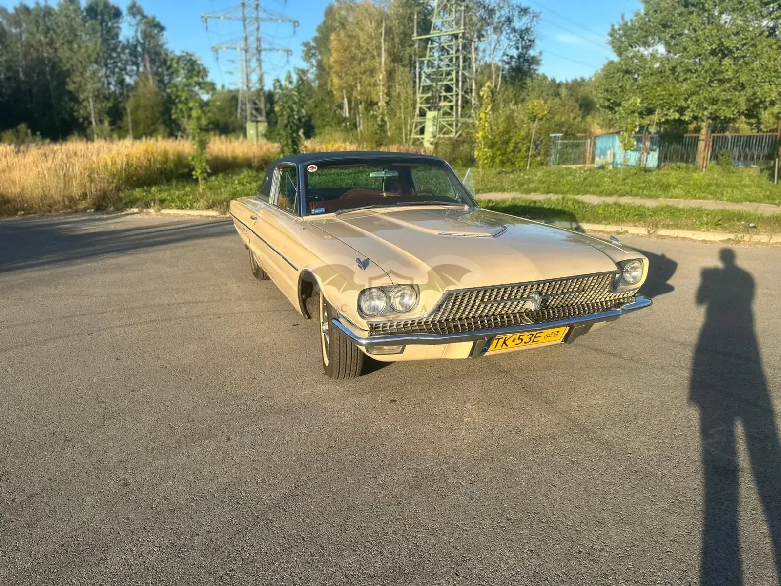 Ford Thunderbird 1966