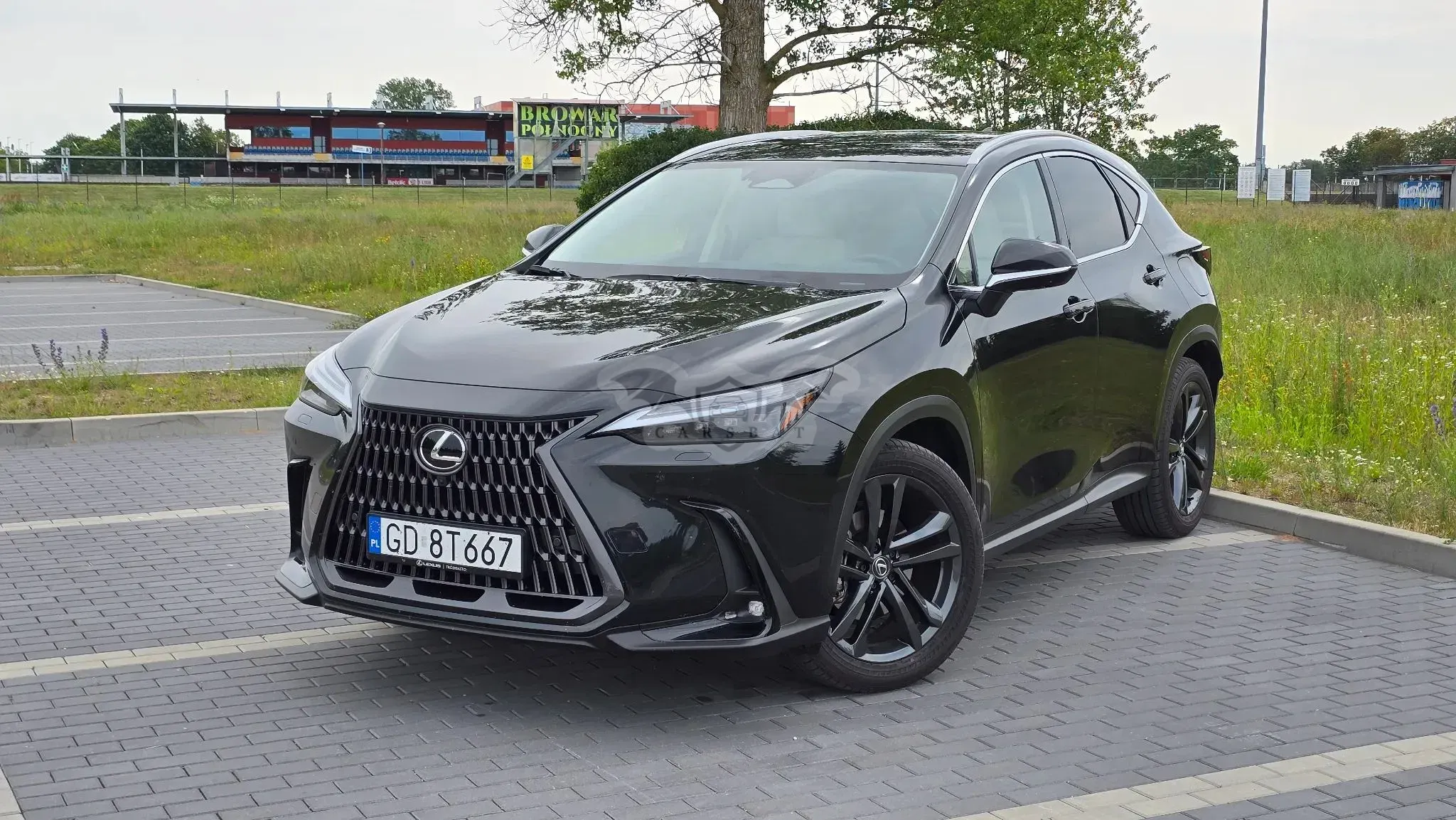 Lexus NX II (2021-) 350h Prestige AWD 2025