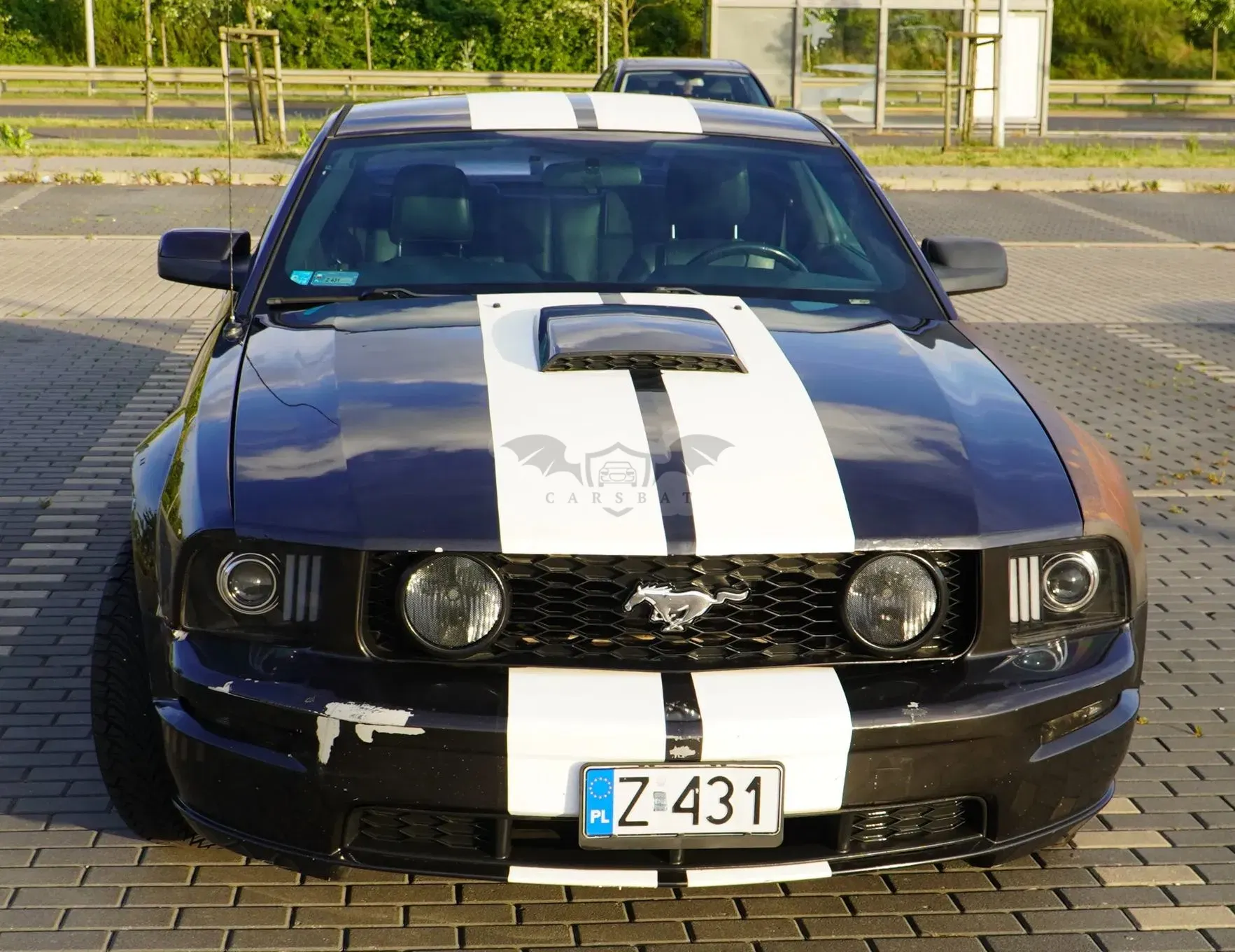 Ford Mustang 2007