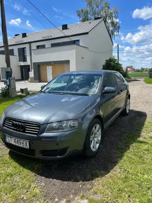 Audi A3 8P (2003-2012) 1.9 TDI Ambiente 2004