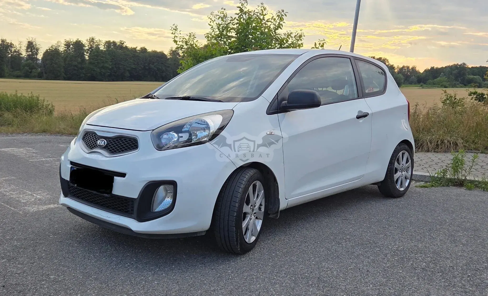 Kia Picanto (Morning) II (2011-) 1.0 L 2013