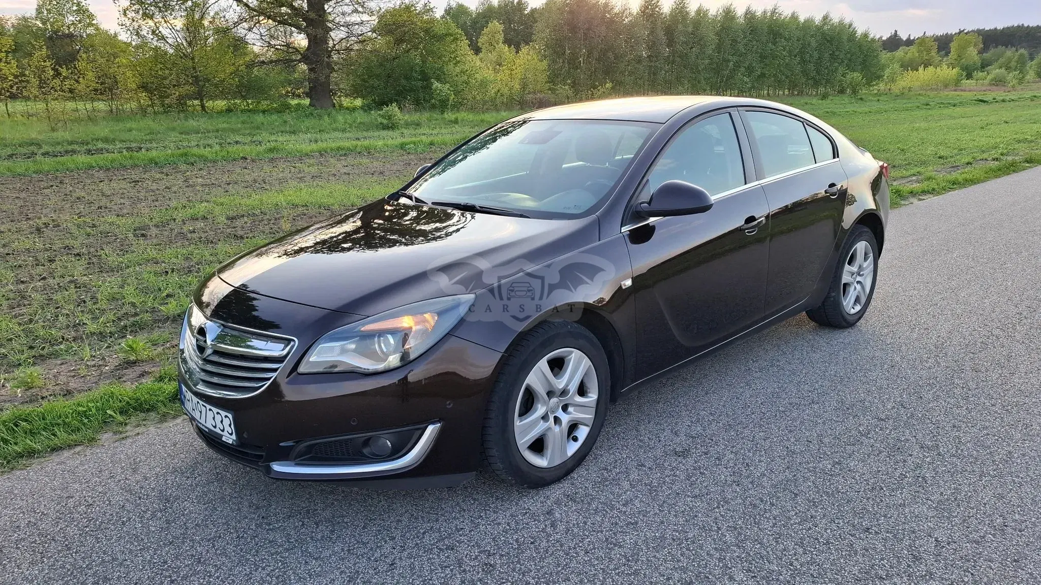 Opel Insignia A (2008-2017) 2.0 CDTI Active 2014