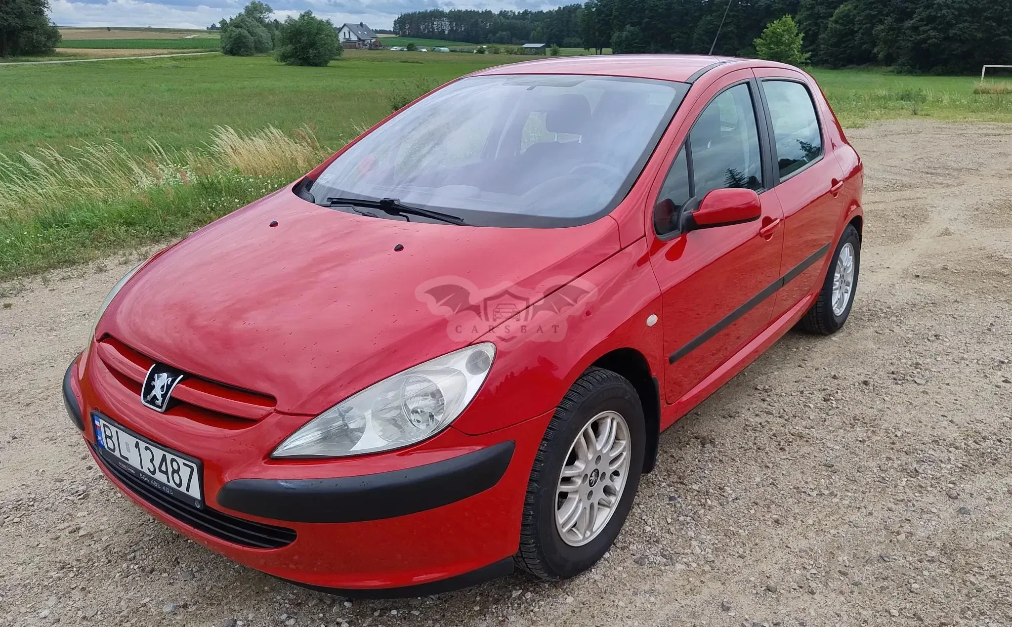 Peugeot 307 I (2001-2005) 1.4 XR 2004
