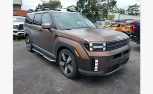 Hyundai Santa Fe V (2023-) 2025