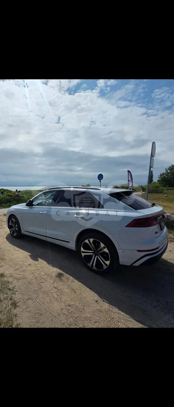 Audi Q8 50 TDI mHEV Quattro Black Edition Tiptronic 2019