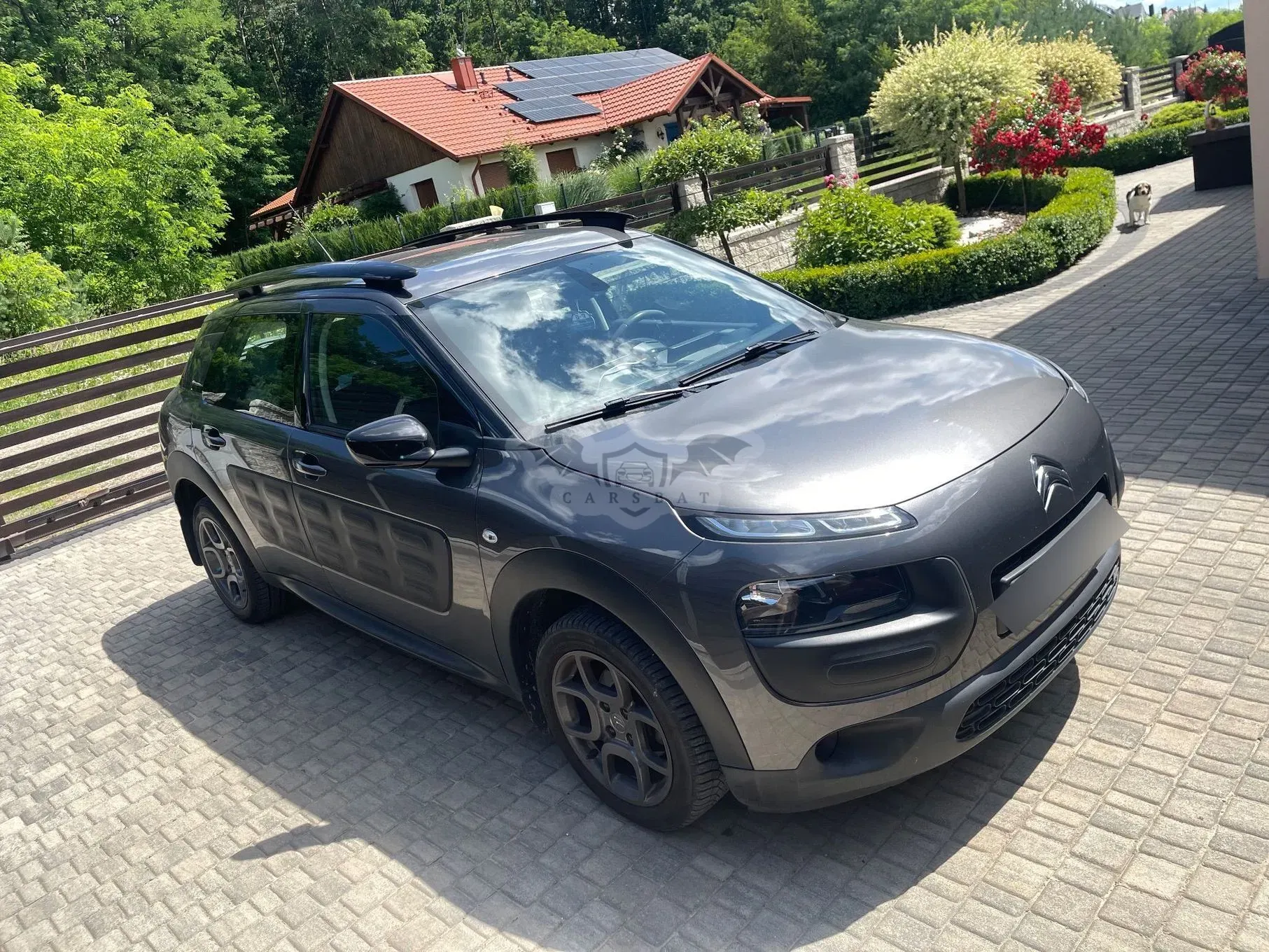 Citroën C4 Cactus 1.2 PureTech Shine S&S ETG 2017
