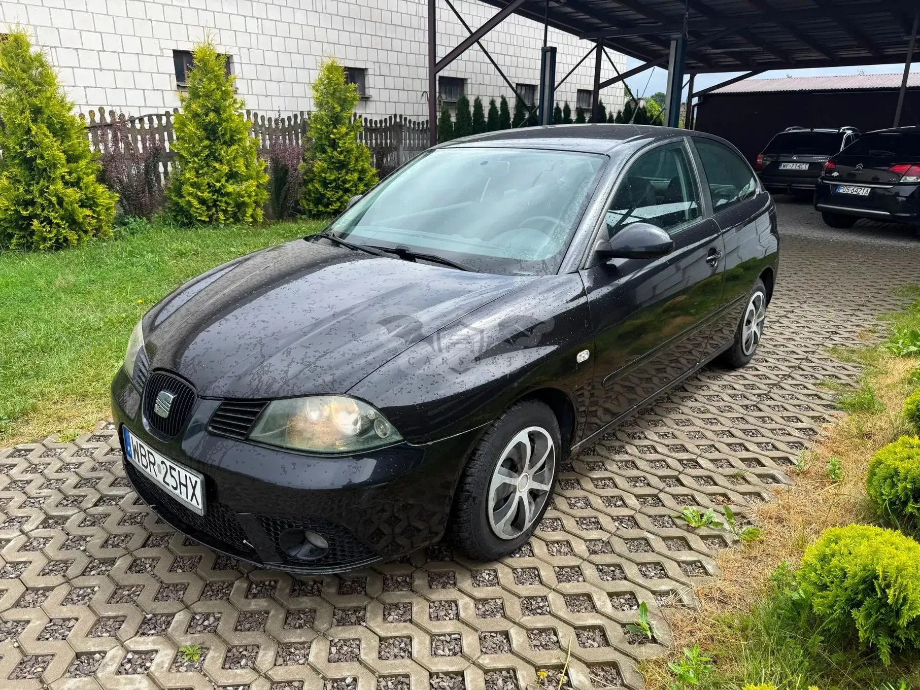 Seat Ibiza III (2002-2008) 1.4 TDI Comfort Edition 2006