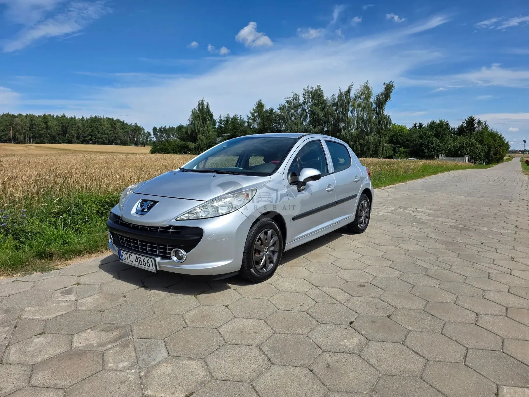 Peugeot 207 1.4 Sportium 2008